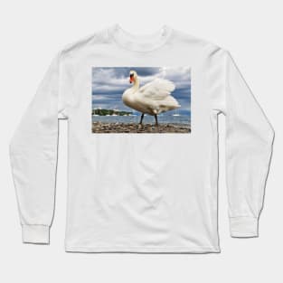 Swan in Hagnau - Lake Constance, Germany Long Sleeve T-Shirt